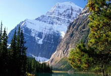 “英法德领导人紧急会见乌克兰总统泽连斯基，共商应对局势”