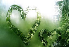 中美共同淡化朝鲜无核化议题的深层原因