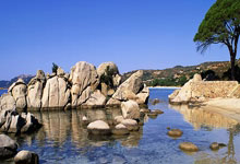 “广西政协原副主席彭晓春被开除党籍，违纪违法问题严重”